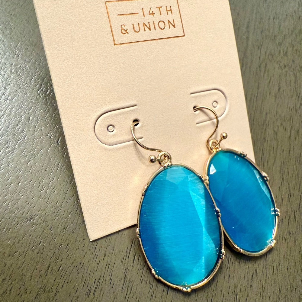 14th & Union Bold Blue and Gold Earrings
